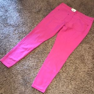 HUE hot pink leggings